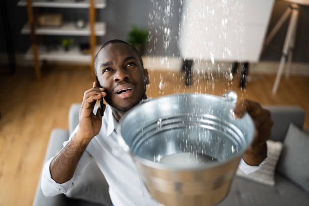 Best Water damage restoration insurance claims  in South Tucson, AZ