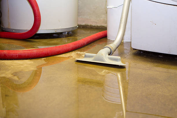 Best Water damage restoration experts  in South Tucson, AZ