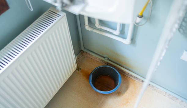 Water damage restoration experts in South Tucson, AZ