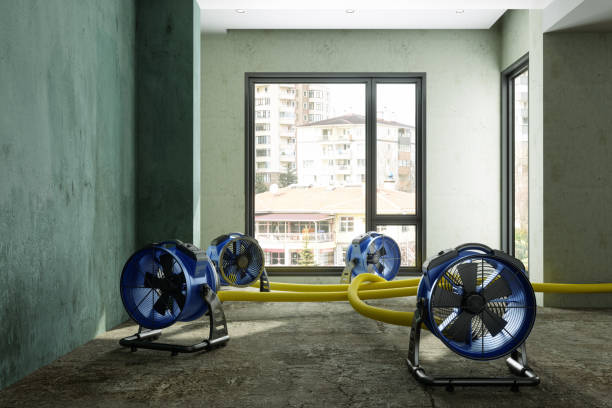 Best Ceiling water damage repair  in South Tucson, AZ